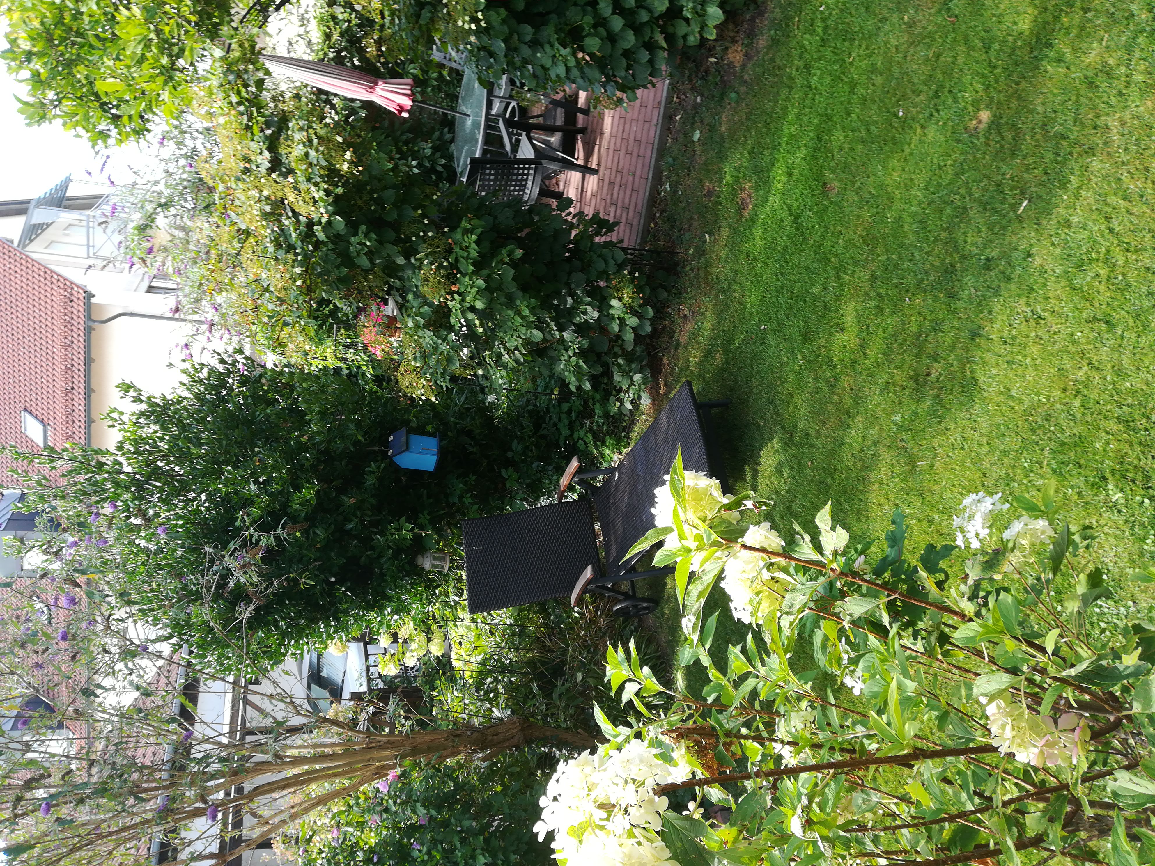 Fotografie eines Pflanzenensembles im Garten der Ferienwohnung, mit Blick auf eine Gartenliege und Sitzgruppe