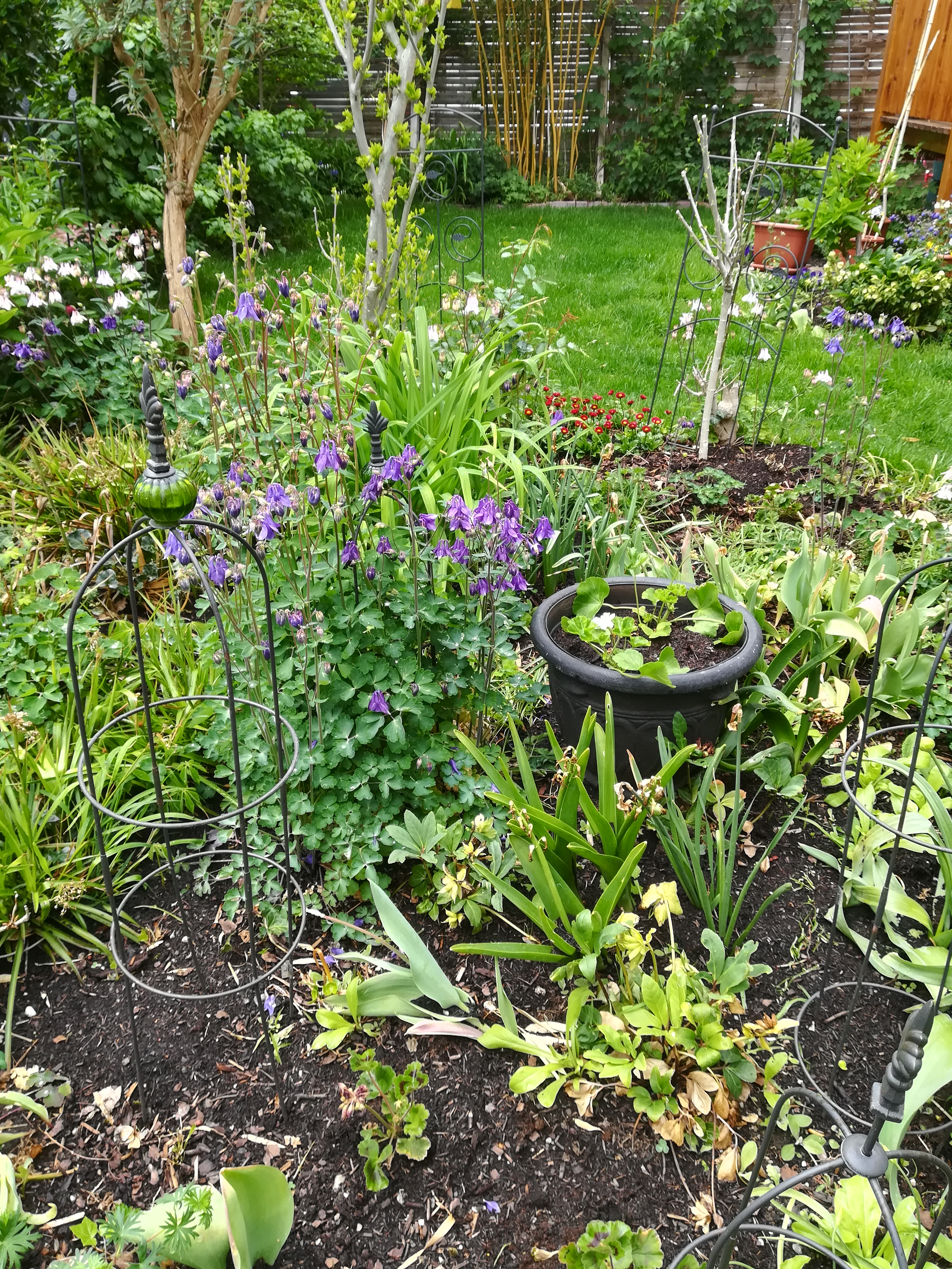 Fotografie eines Pflanzenensembles im Garten der Ferienwohnung